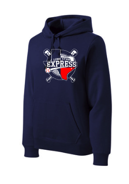 Lse hoodie 2025
