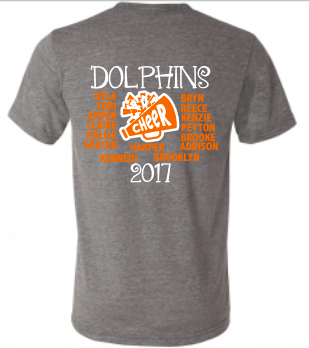 2017 Dolphins roster