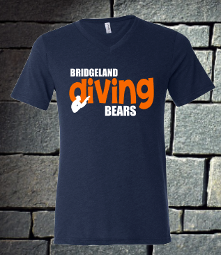 Bridgeland Bears Diving