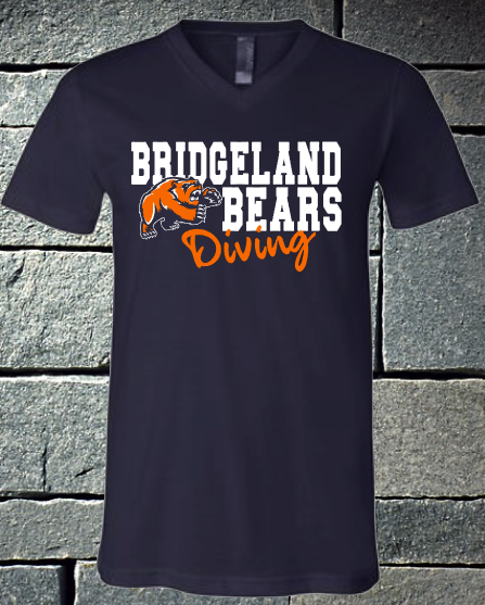 Bridgeland Bears Dive 2020