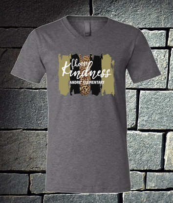 Choose kindness swashes - short sleeve
