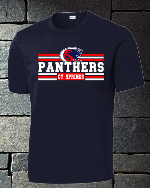 Panthers with lines - mens dri fit and t-shirt