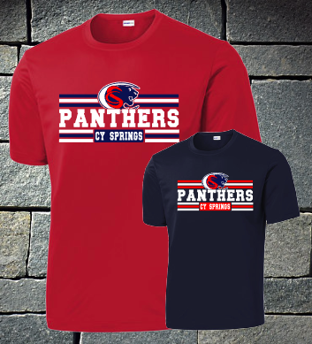 Panthers with lines - mens dri fit and t-shirt