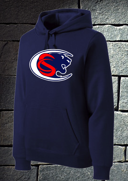Panthers logo hoodie
