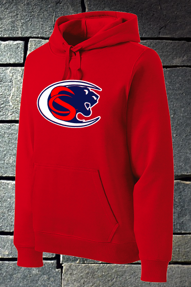 Panthers logo hoodie