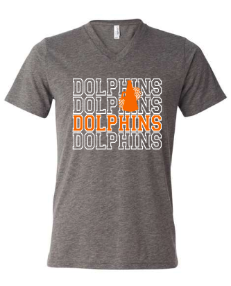 Dolphins X 4 cheer