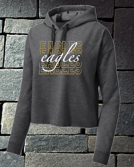 New 2022 Eagles X 5 cropped hoodie