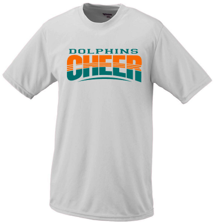 Dolphins Cheer curved