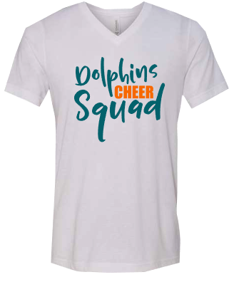 Dolphins cheer squad