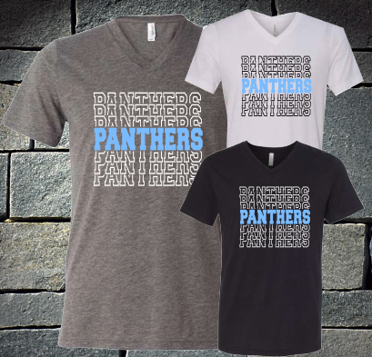 Panthers X6