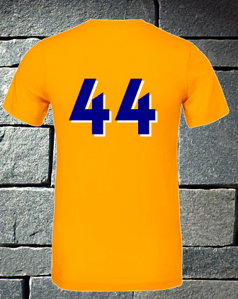 Add on - add number to back of gold shirt