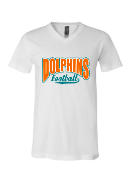 Dolphins Football with swoosh