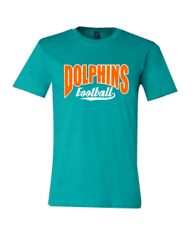 Dolphins Football with swoosh