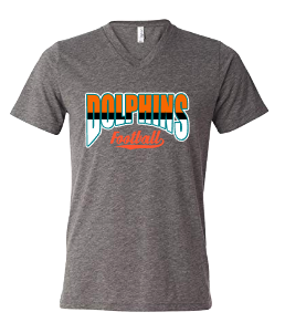 Dolphins Three Color Football