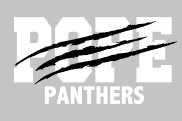 Gildan Pope Panthers with Claw Hoodie - No Zip
