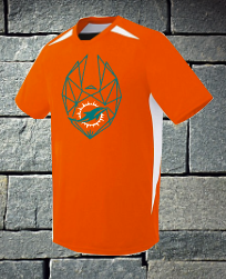 Dolphins Flag Football Roster 2019