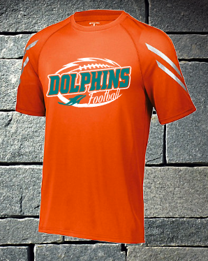 Dolphins Varsity Football Roster 2019